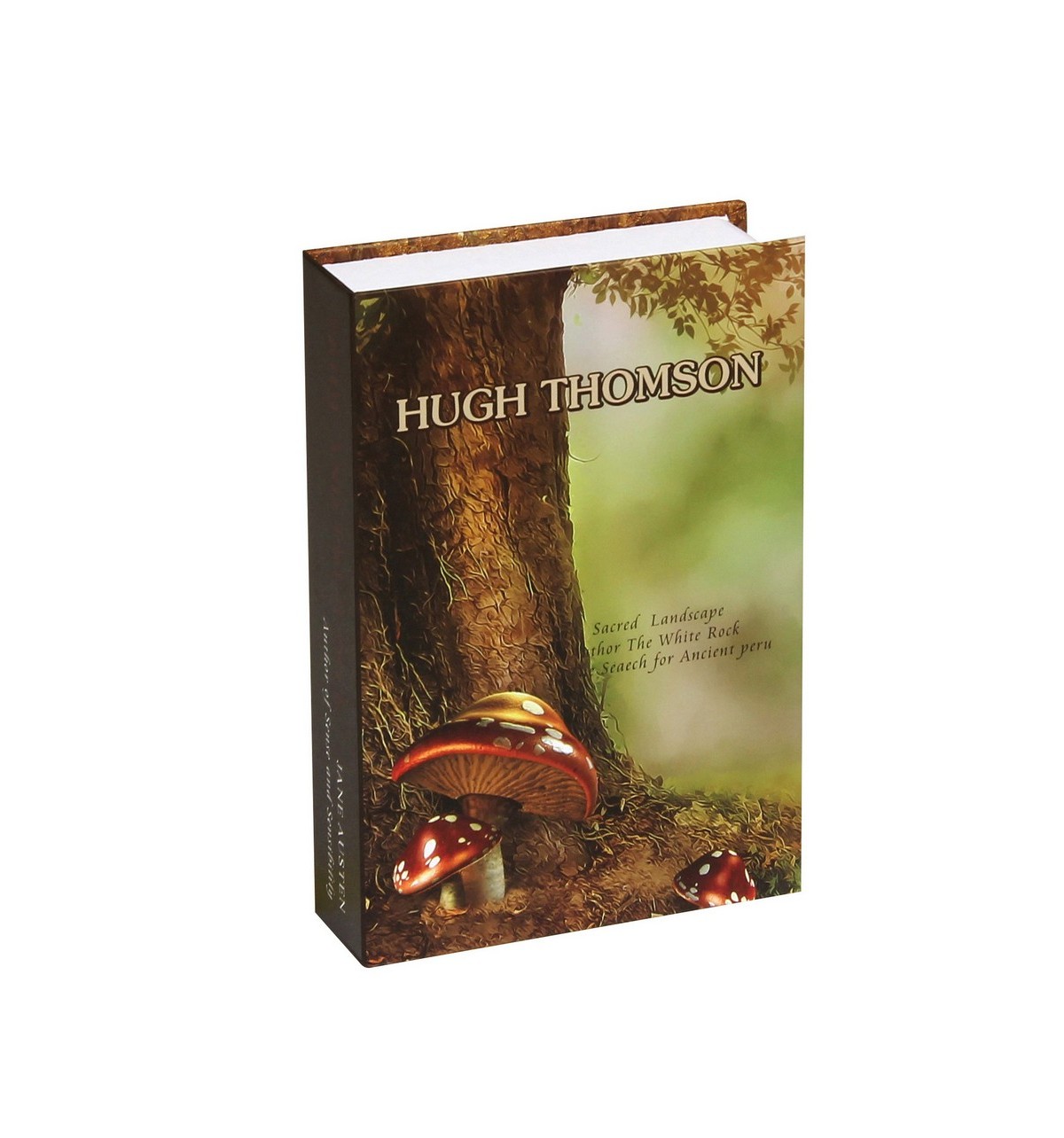 Bezpečnostní schránka - kniha Hugh Thomson